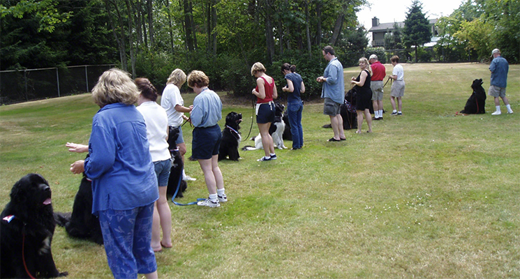 group practice for cgc test